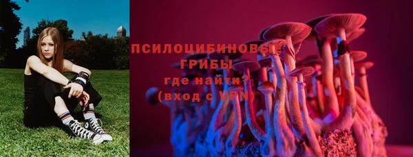 спайс Корсаков