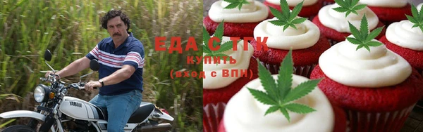 шишки Коряжма