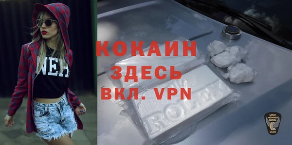 спайс Корсаков