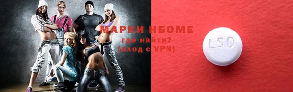 шишки Коряжма