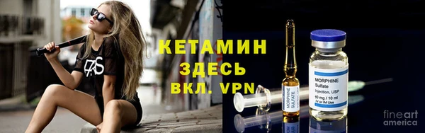 шишки Коряжма