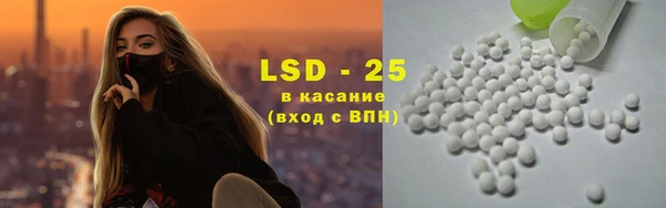спайс Корсаков