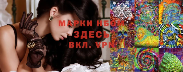 спайс Корсаков