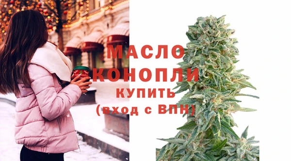шишки Коряжма