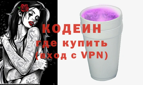 спайс Корсаков