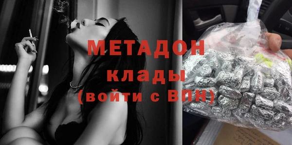 шишки Коряжма