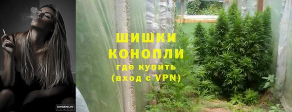 шишки Коряжма